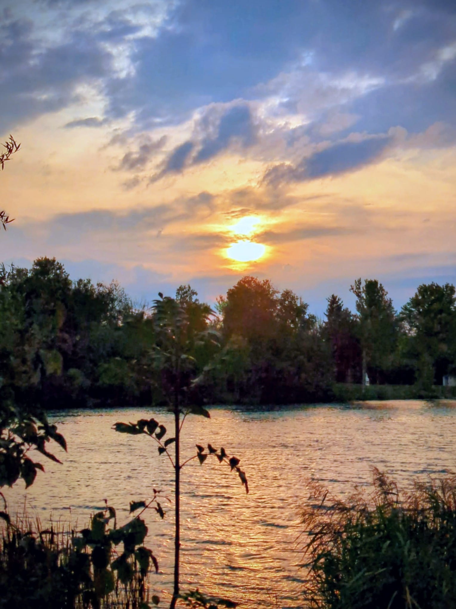 Whatsapp Image 2026 02 15 At 19.51.57