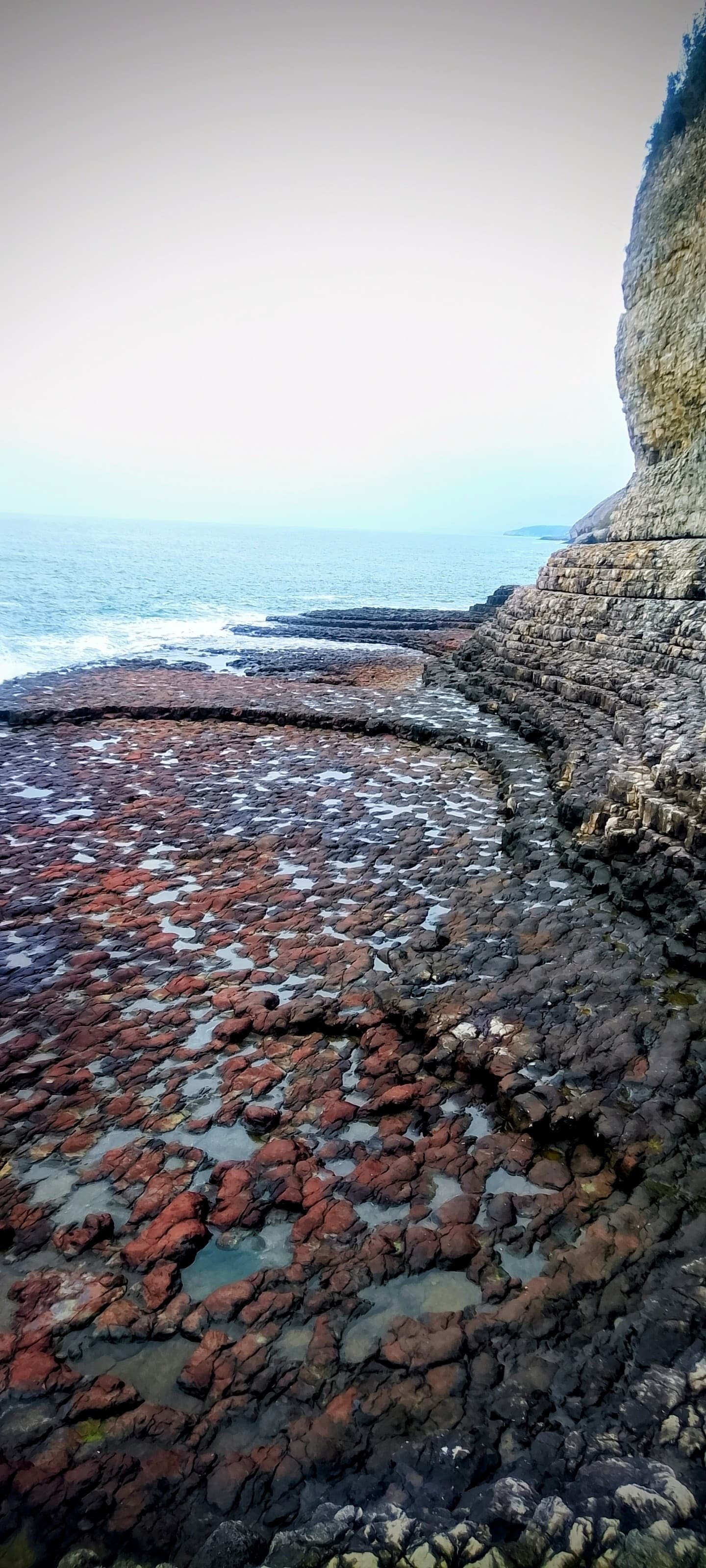 D2E085Fb Bd0F 42Ec A724 1894920Dcc60