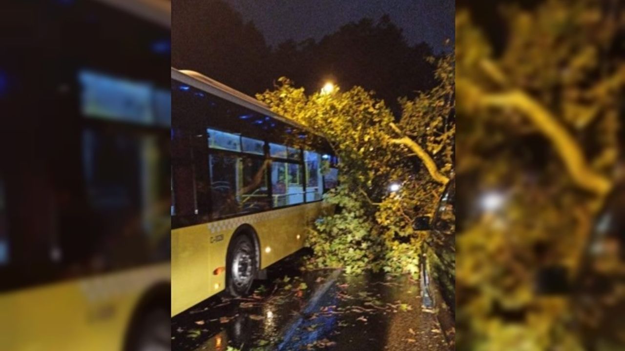 Beykoz’da fırtına: Ağaç otobüsün üstüne düştü
