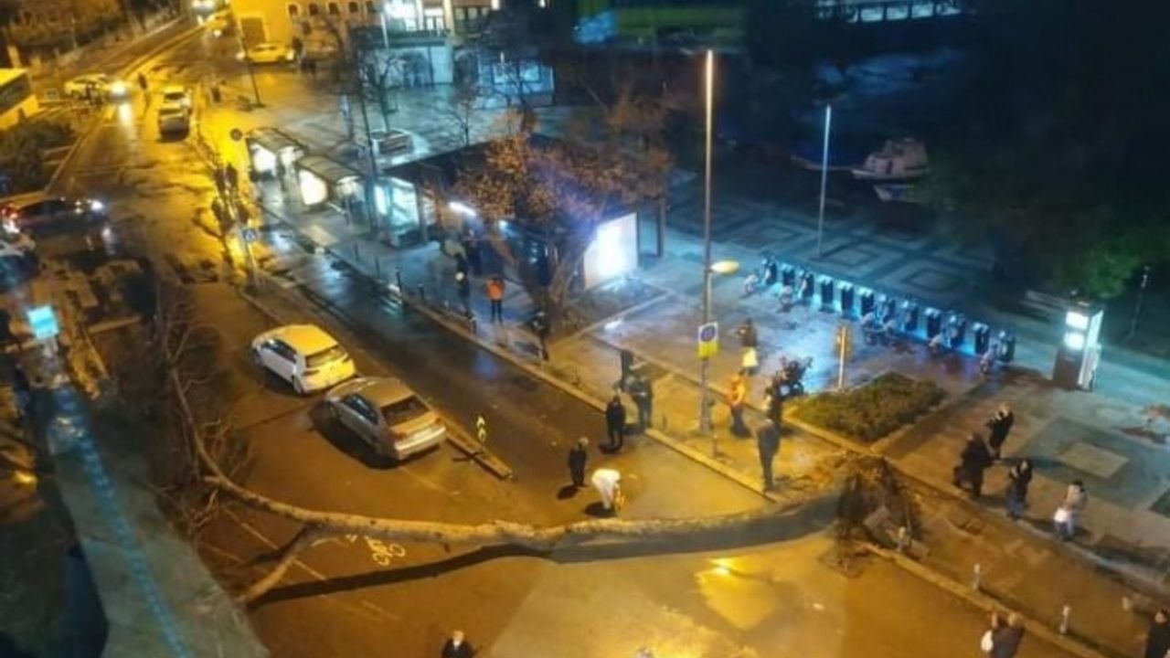 Beykoz’da tarihi çınar ağacı yola devrildi