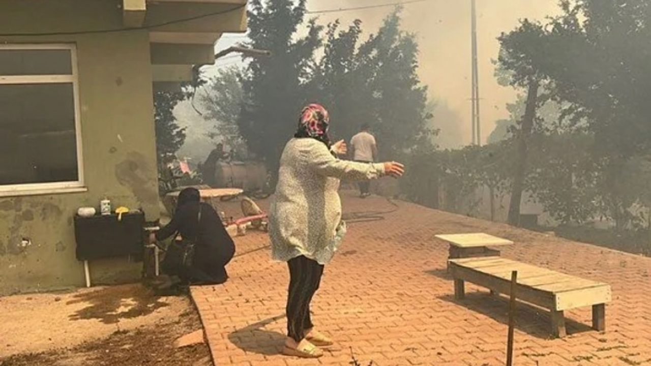 Beykoz'daki orman yangını: Bir kişi gözaltında
