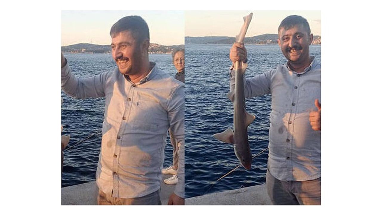 Beykoz’da oltaya köpek balığı takıldı