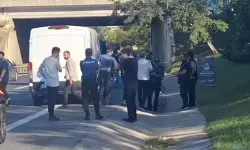 Beykoz'da yol kenarında pimi çekilmemiş 2 el bombası bulundu