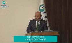 CHP'li meclis üyesi istifa mı ediyor?