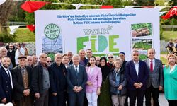 Beykoz Belediyesi'nden Çiftçilere Fide Dağıtımı