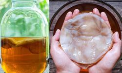 Binlerce Yıllık Şifa Kaynağı Kombucha Çayı: Sağlığınıza Doğal Dokunuş!
