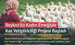 Beykoz’da Yerel Kalkınma Hamlesi: Kadın Emeğiyle Kaz Yetiştiriciliği