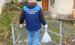 Beykoz’da kaçak avlanan 204 kasa balık vatandaşlara dağıtıldı