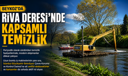 Beykoz Riva Deresi’nde Kapsamlı Temizlik Başladı