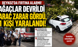 Beykoz'da Fırtına Etkili Oldu: Ağaçlar Devrildi, Bir Kişi Yaralandı