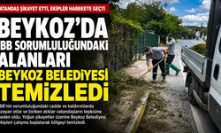 Beykoz’da İBB Sorumluluğundaki Alanları Beykoz Belediyesi Temizledi