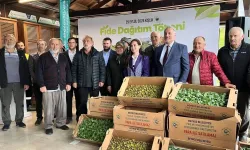Beykoz’da çiftçilere 625 bin kışlık fide desteği