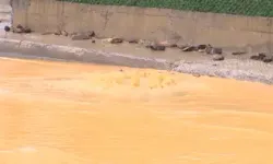 Akbaba Caddesi Çamurlu Suya Teslim Oldu