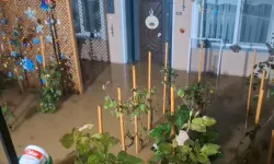 Beykoz’da Sağanak Kabusu: Evleri Su Bastı, Elektrikler Kesildi