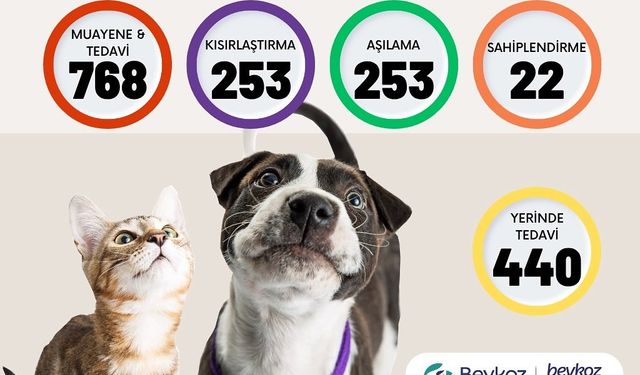 Beykoz'da Nisan ayında 768 hayvan tedavi gördü