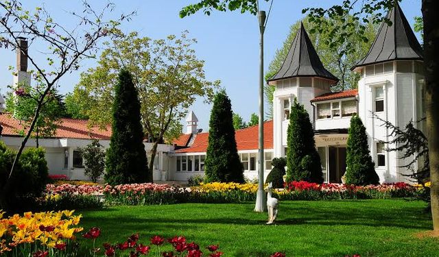 Beykoz Korusu artık İBB'ye ait değil!