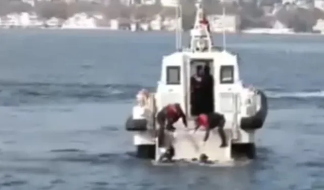 Beykoz'da denizde erkek cesedi bulundu