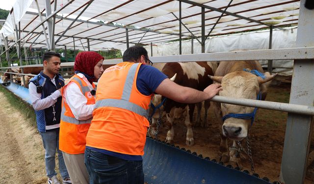 Kurban Bayramı’nda Beykoz’a Girişler Sıkı Denetimde