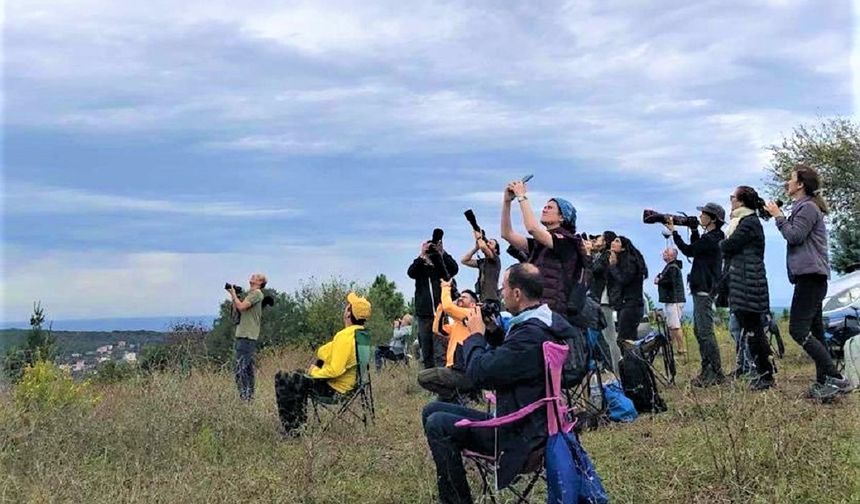 Kuşların sonbahar göçü Beykoz’dan izlenecek