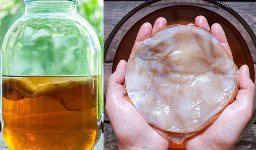Binlerce Yıllık Şifa Kaynağı Kombucha Çayı: Sağlığınıza Doğal Dokunuş!