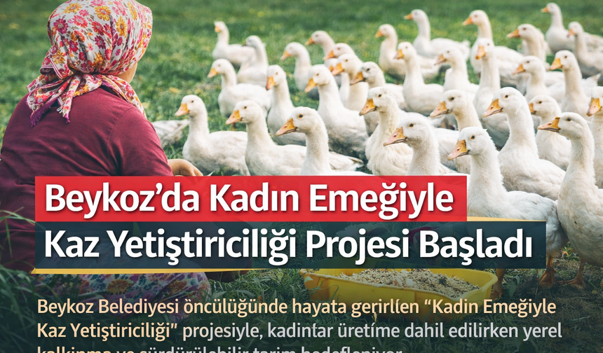 Beykoz’da Yerel Kalkınma Hamlesi: Kadın Emeğiyle Kaz Yetiştiriciliği
