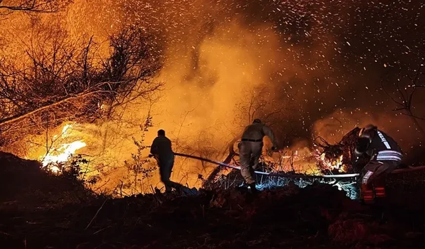 Beykoz’daki Orman Yangını 9 Saatte Kontrol Altına Alındı