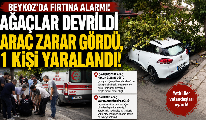 Beykoz'da Fırtına Etkili Oldu: Ağaçlar Devrildi, Bir Kişi Yaralandı