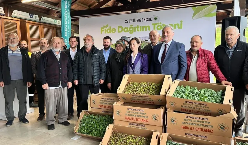 Beykoz’da çiftçilere 625 bin kışlık fide desteği