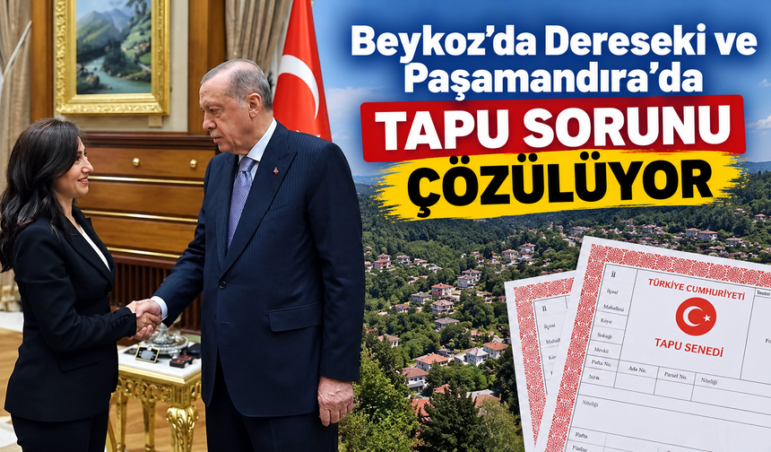 Beykoz’da Dereseki ve Paşamandıra’da tapu sorunu çözülüyor