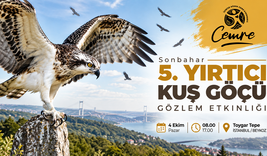 Beykoz’da Yırtıcı Kuş Göçüne Tanıklık Etme Fırsatı